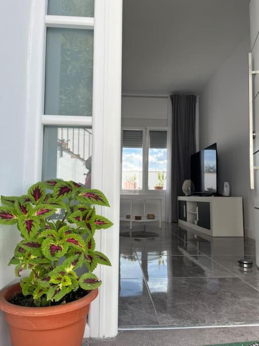 Casa La Fuente Alta Villa Алгодоналес Екстериор снимка